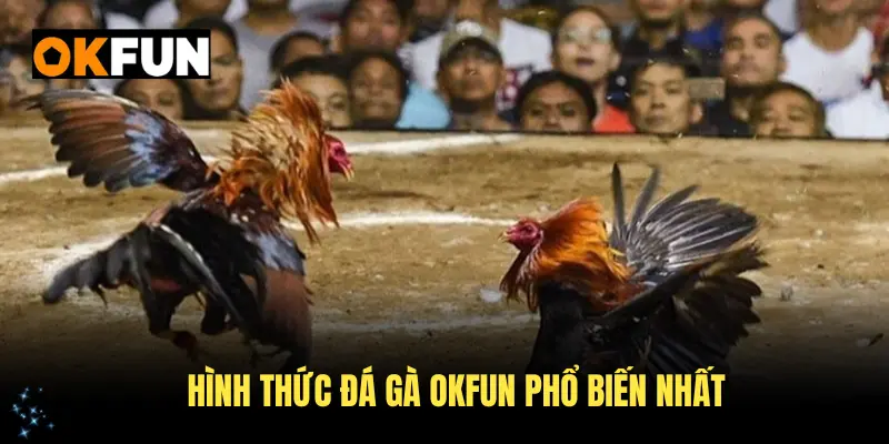 Điểm qua các hình thức đá gà OKFUN phổ biến nhất
