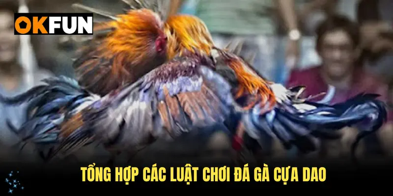 Tổng hợp các luật chơi đá gà cựa dao cơ bản