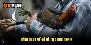 tổng quan về đá gà cựa dao okfun